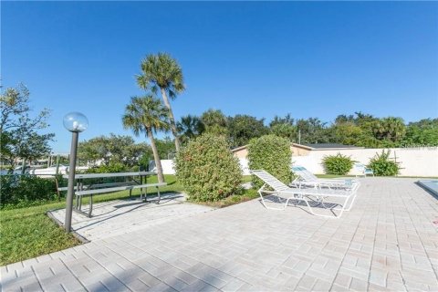Condo in New Port Richey, Florida, 1 bedroom № 2222164 - photo 23