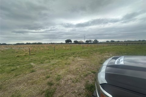 Immobilier commercial à vendre à Okeechobee, Floride № 1987836 - photo 4