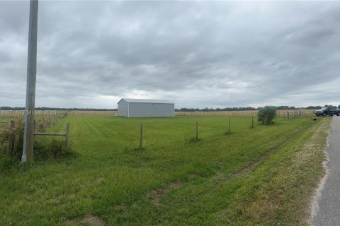 Immobilier commercial à vendre à Okeechobee, Floride № 1987836 - photo 22