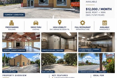 Immobilier commercial à louer à Orlando, Floride: 292.64 m2 № 2351685 - photo 16