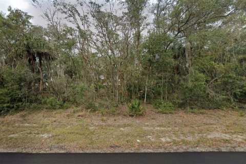 Land in Port Charlotte, Florida № 2164847