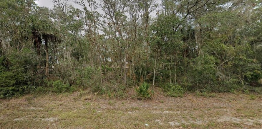 Terreno en Port Charlotte, Florida № 2164847