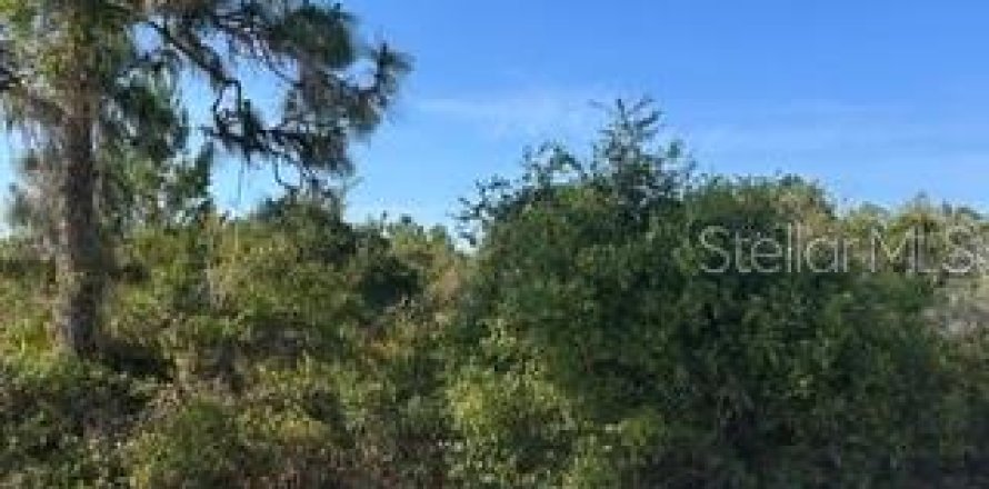Terreno en Indian lake estates, Florida № 2159690