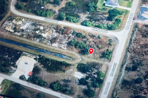 Land in Lehigh Acres, Florida № 2215004 - photo 4
