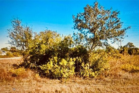Land in Lehigh Acres, Florida № 2215004 - photo 2
