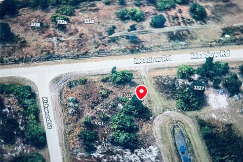 Land in Lehigh Acres, Florida № 2215004 - photo 3