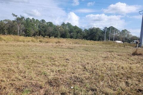 Terreno en venta en Ocala, Florida № 1540728 - foto 1