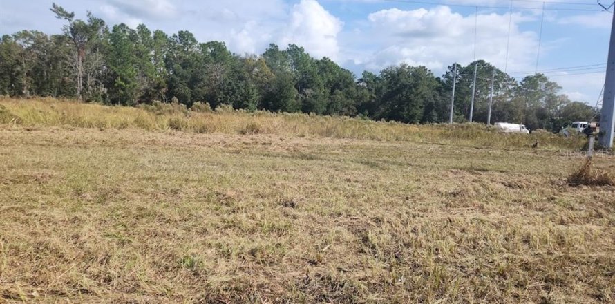 Terreno en Ocala, Florida № 1540728