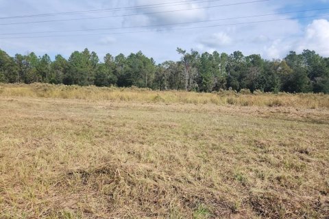 Terreno en venta en Ocala, Florida № 1540728 - foto 2