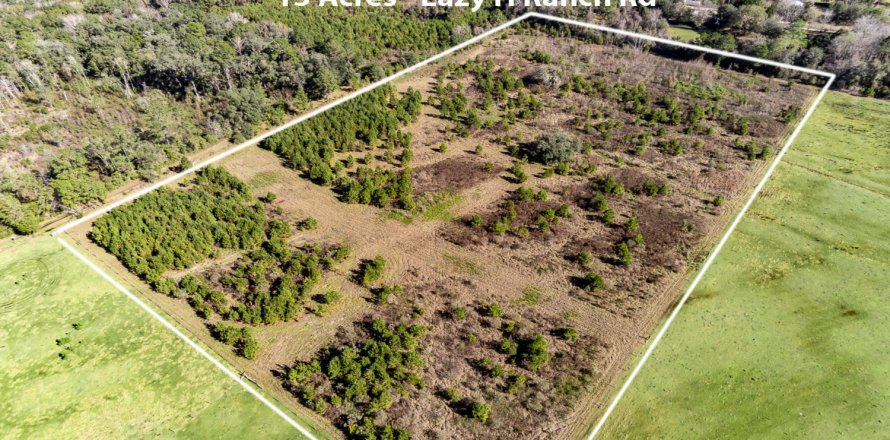 Terrain à Middleburg, Floride № 768010