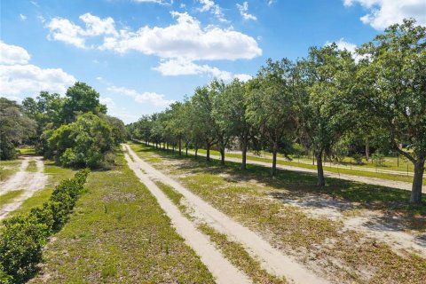 Terrain à vendre à Ocala, Floride № 2233750 - photo 5