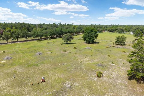 Terrain à vendre à Ocala, Floride № 2233750 - photo 18