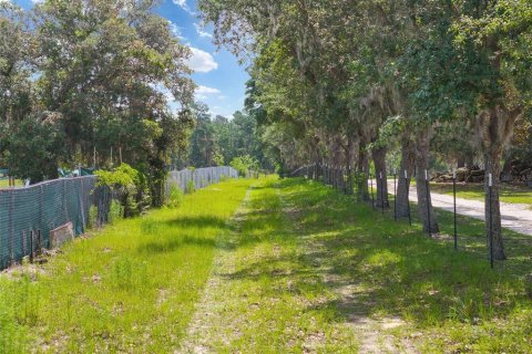 Terrain à vendre à Ocala, Floride № 2233750 - photo 6