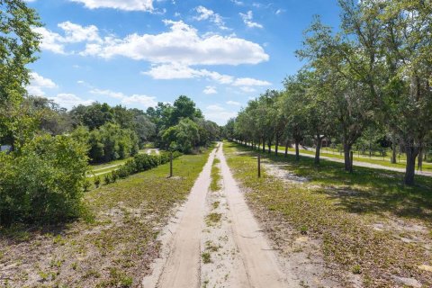Terrain à vendre à Ocala, Floride № 2233750 - photo 4