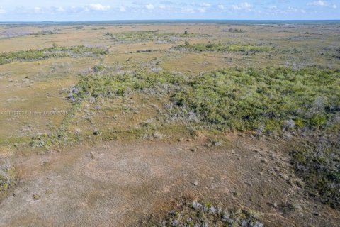 Propiedad comercial en venta en Homestead, Florida № 1766388 - foto 6