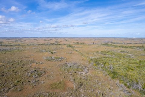Propiedad comercial en venta en Homestead, Florida № 1766388 - foto 2