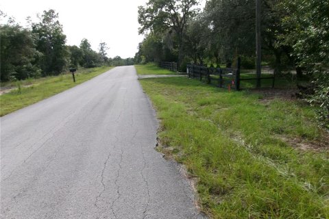 Land in Dunnellon, Florida № 2159202