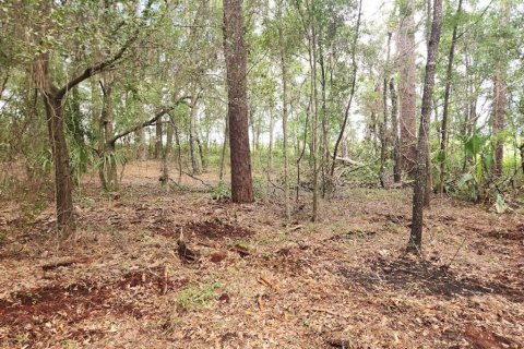 Land in Dunnellon, Florida № 2159202 - photo 20