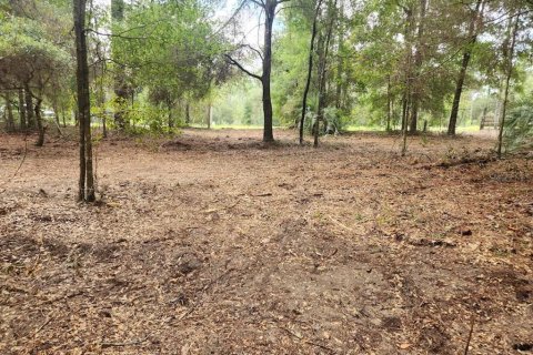 Land in Dunnellon, Florida № 2159202 - photo 19