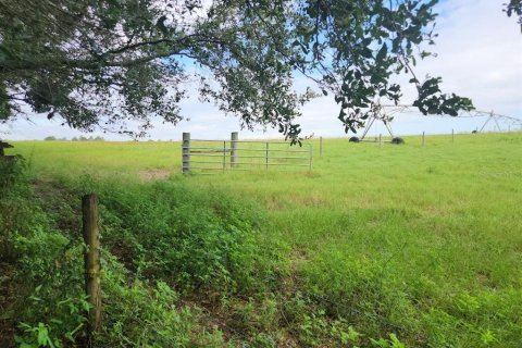 Land in Dunnellon, Florida № 2159202 - photo 22