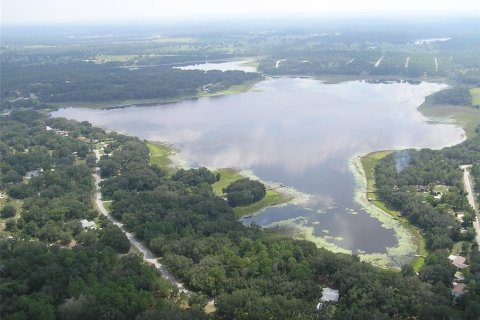 Land in Dunnellon, Florida № 2159202 - photo 5