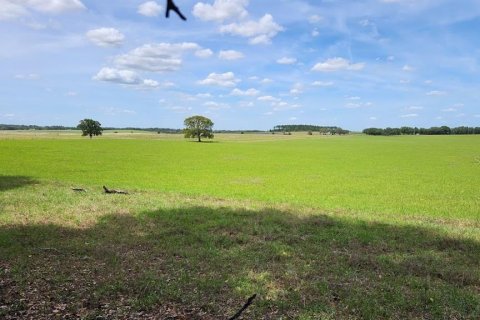 Land in Dunnellon, Florida № 2159202 - photo 4