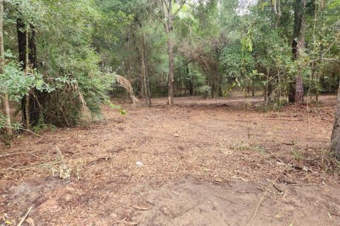 Land in Dunnellon, Florida № 2159202 - photo 13