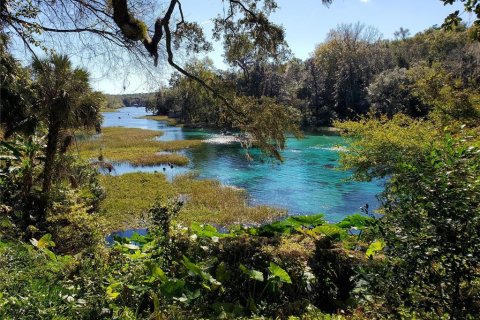 Land in Dunnellon, Florida № 2159202 - photo 11