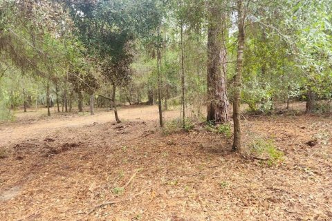 Land in Dunnellon, Florida № 2159202 - photo 17