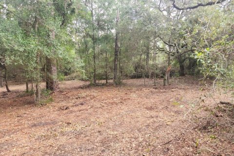 Land in Dunnellon, Florida № 2159202 - photo 14