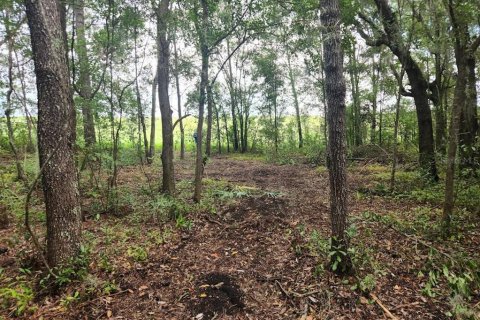 Land in Dunnellon, Florida № 2159202 - photo 21