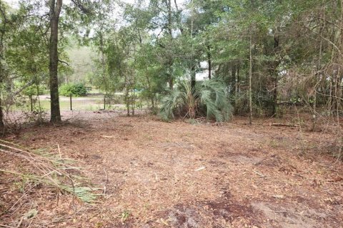 Land in Dunnellon, Florida № 2159202 - photo 16