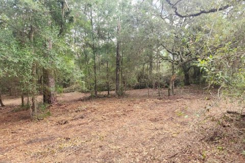 Land in Dunnellon, Florida № 2159202 - photo 15