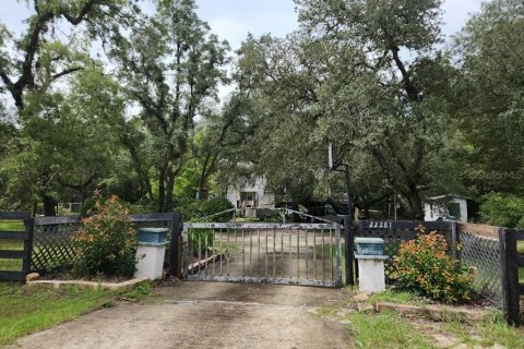 Land in Dunnellon, Florida № 2159202 - photo 2