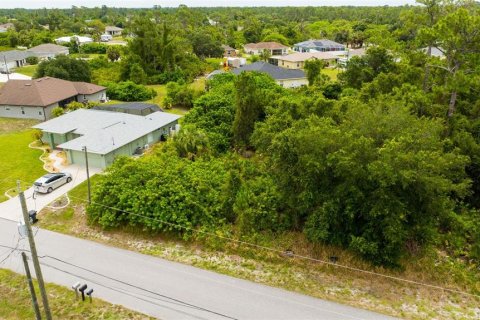 Land in North Port, Florida № 2162525 - photo 10