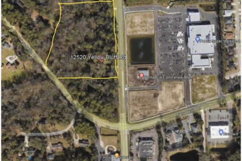 Land in Jacksonville, Florida № 801772 - photo 1