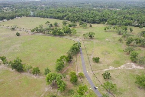 Terreno en venta en Ocala, Florida № 1796750 - foto 12