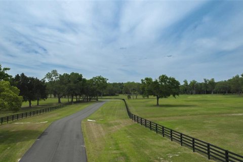 Terreno en venta en Ocala, Florida № 1796750 - foto 5