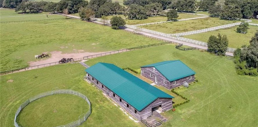 Villa ou maison à Dade City, Floride 4 chambres, 185.8 m2 № 1069682