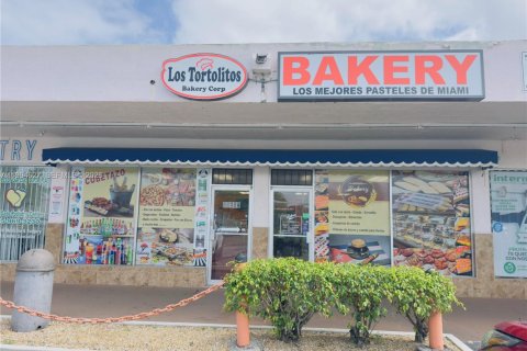 Коммерческая недвижимость в Майами, Флорида № 2060530