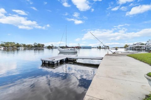 Villa ou maison à vendre à Crystal River, Floride: 3 chambres, 135.73 m2 № 1881201 - photo 3