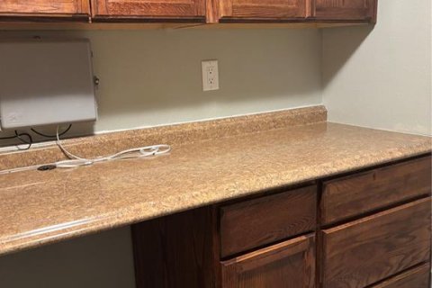 Condominio en alquiler en Tarpon Springs, Florida, 2 dormitorios, 96.71 m2 № 1829859 - foto 25