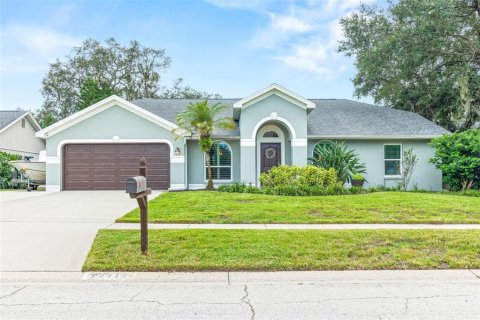 House in Riverview, Florida 4 bedrooms, 222.97 sq.m. № 2393654 - photo 2