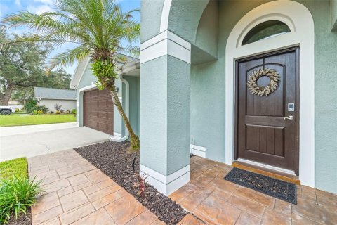 House in Riverview, Florida 4 bedrooms, 222.97 sq.m. № 2393654 - photo 3