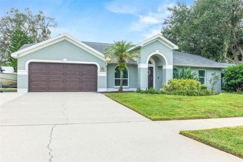House in Riverview, Florida 4 bedrooms, 222.97 sq.m. № 2393654