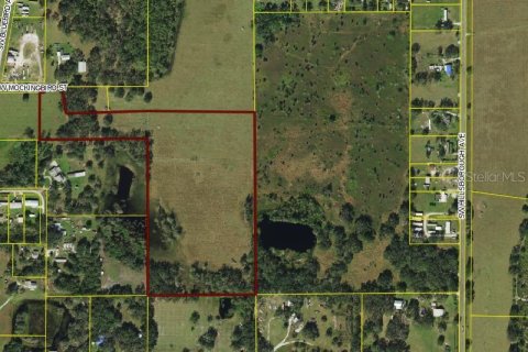 Land in Arcadia, Florida № 1138009 - photo 6