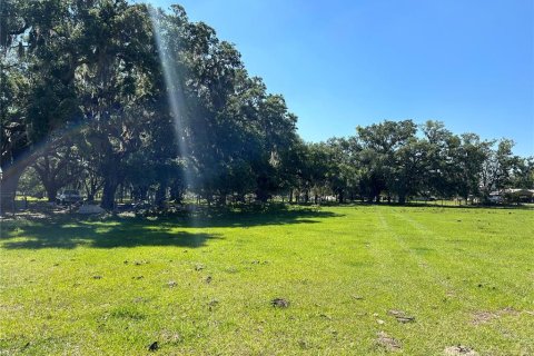 Terreno en alquiler en Arcadia, Florida № 1138009 - foto 1