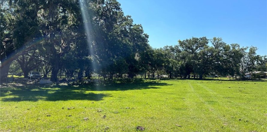 Terreno en Arcadia, Florida № 1138009