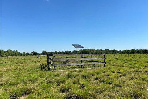 Terreno en alquiler en Arcadia, Florida № 1138009 - foto 4