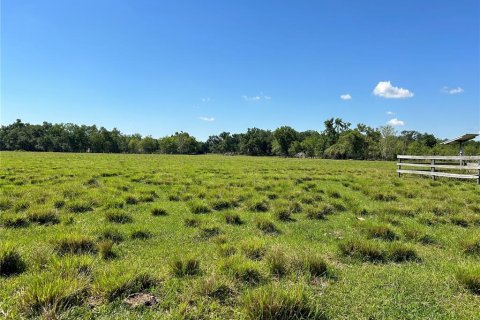 Land in Arcadia, Florida № 1138009 - photo 5